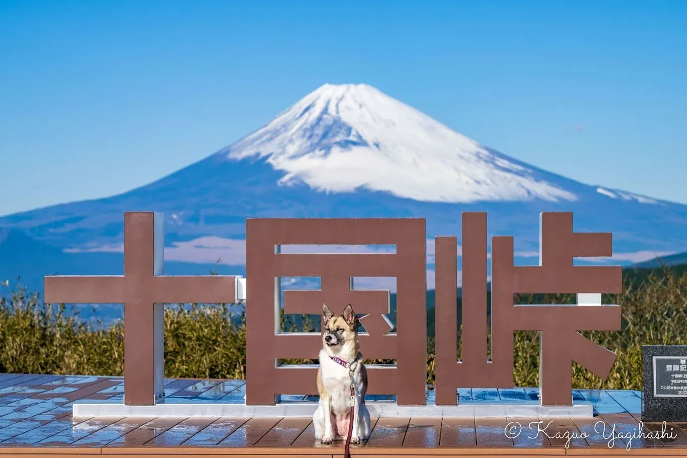 四季折々の富士山の雄姿が一望する絶景の十国峠